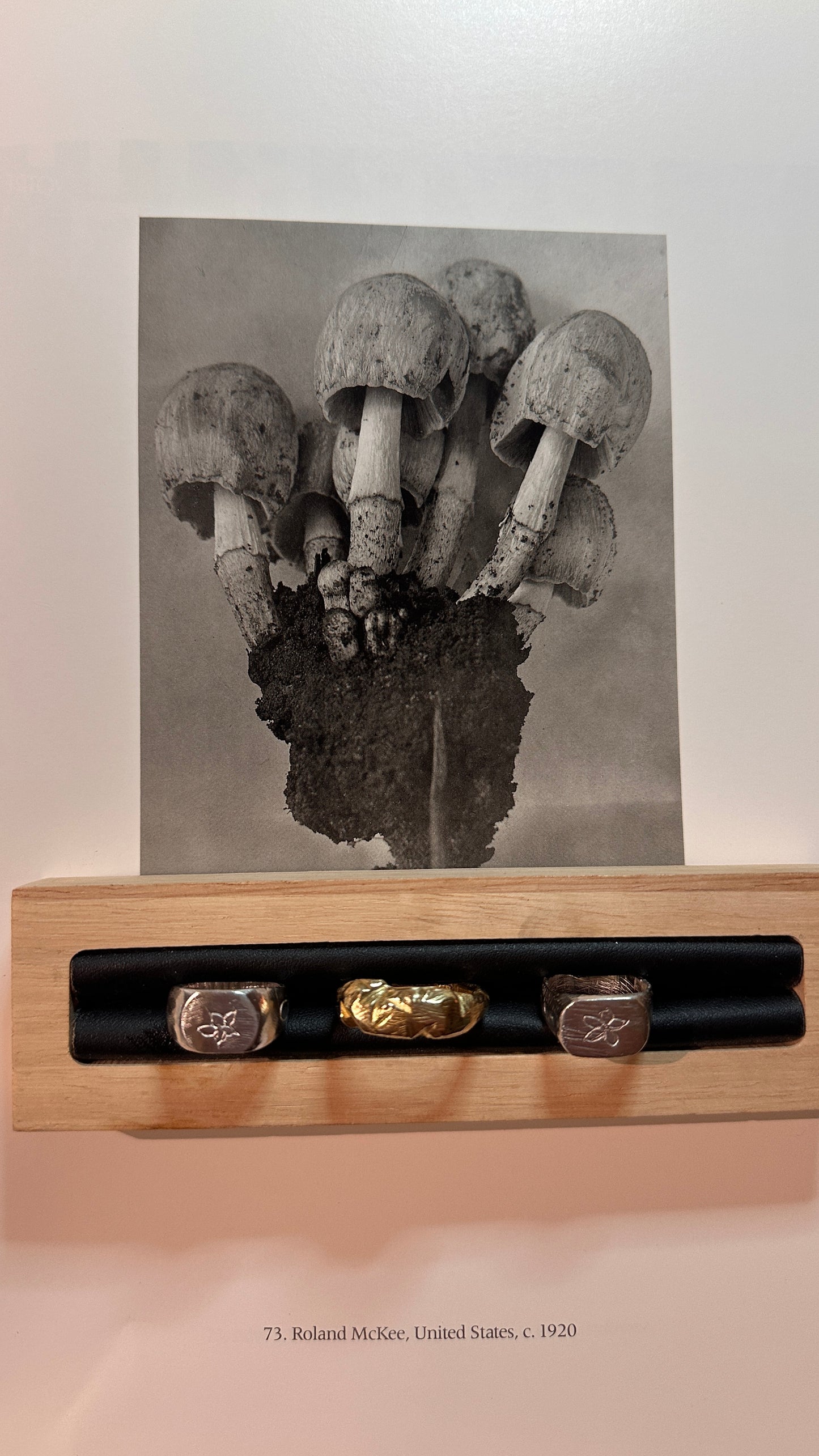 Alchemy Workshop 13/03/2026 18:30pm