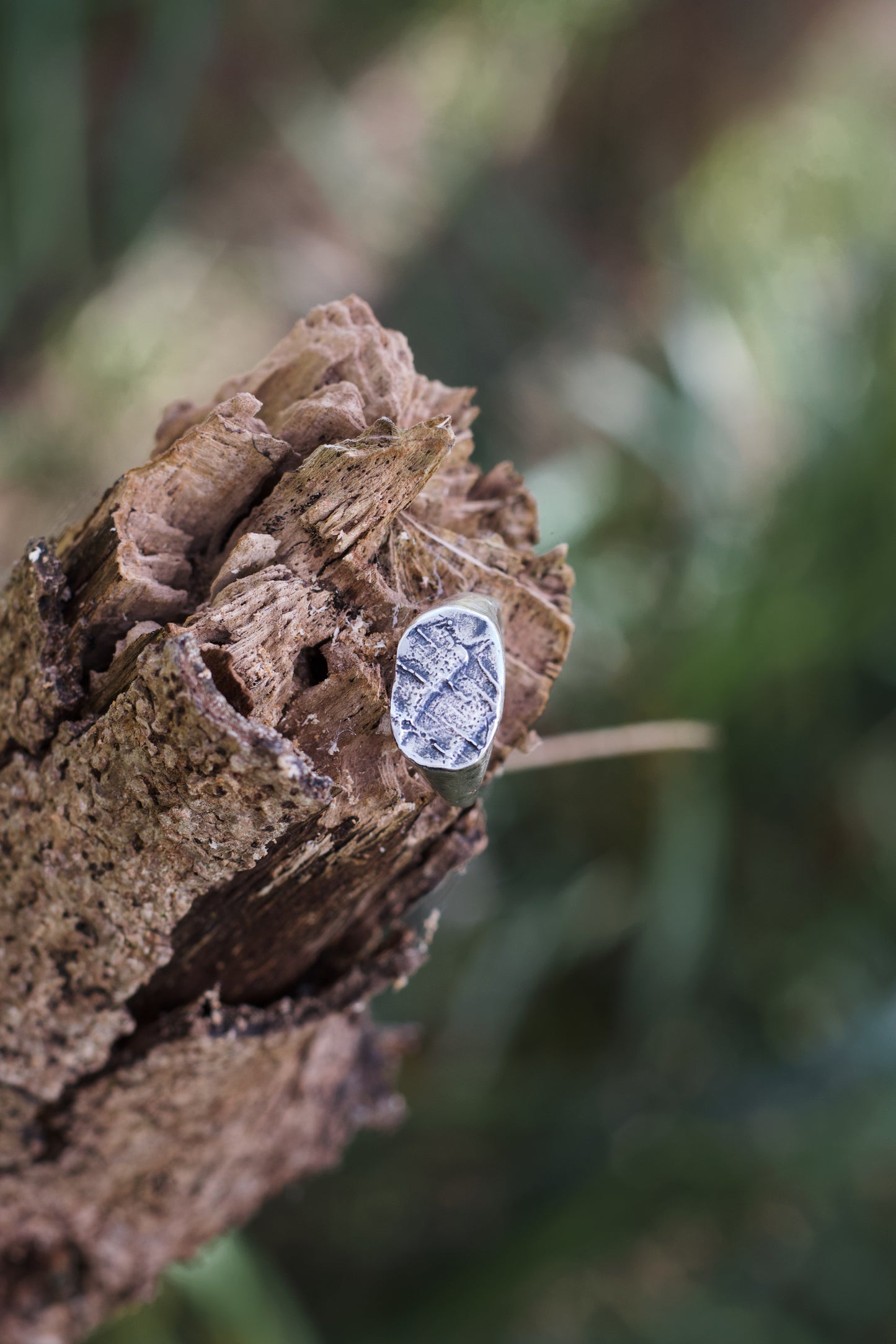 Locust Fingerprint